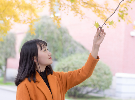 在菲律宾结婚办理菲律宾结婚证需要什么条件